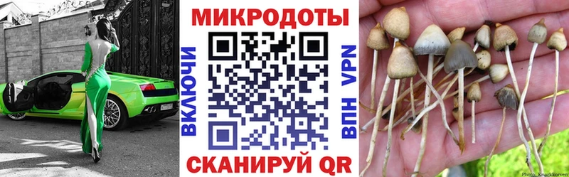 Купить  Харабали  Псилоцибиновые грибы мицелий 